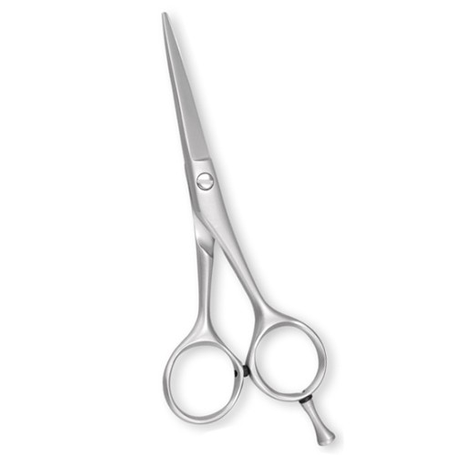 Professional Hair Cutting Scissors